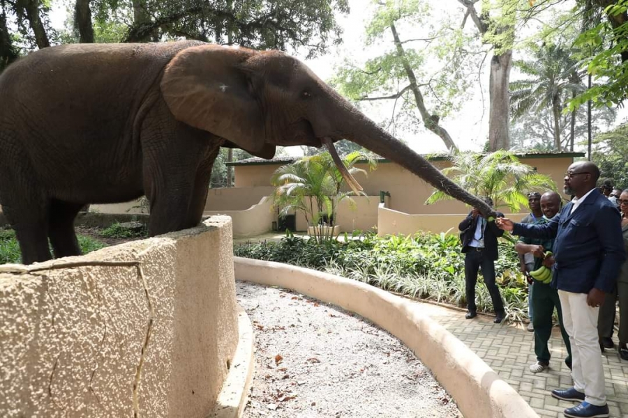 Côte d’Ivoire/ Zoo national d&#039;Abidjan : l’infrastructure réhabilitée et rénovée