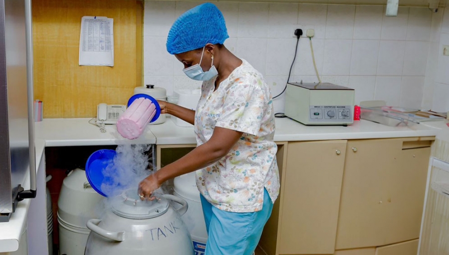 Fertilité : l’industrie africaine des donneurs de sperme « manque de garanties vitales »
