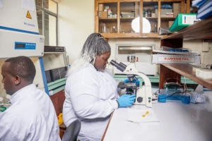 Le paludisme est un problème africain et l&#039;Afrique doit trouver la solution
