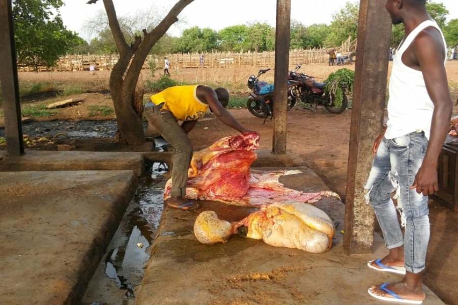 Côte d’Ivoire : Voici les conditions d&#039;hygiène à l&#039;abattoir de Doropo