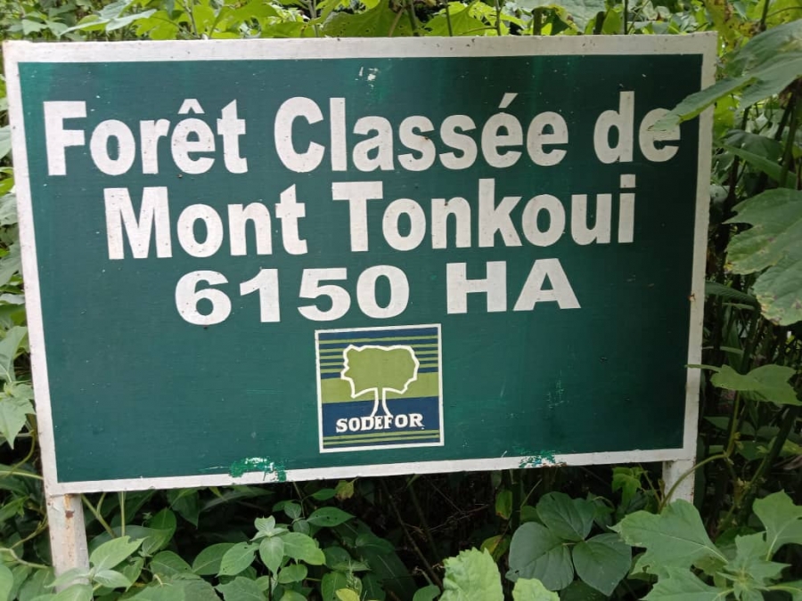 Côte d’Ivoire : le gouvernement encourage les populations à la reforestation et à la préservation du patrimoine forestier