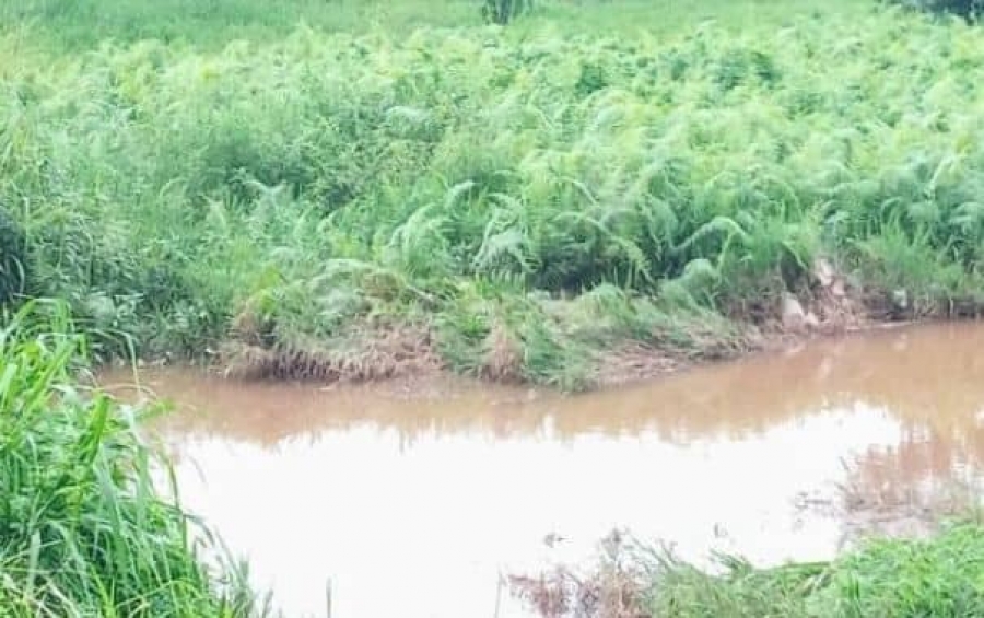 Côte d'Ivoire/Sikensi: un écolier meurt par noyade dans une rivière