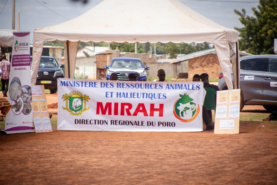 Journée mondiale de la lutte contre la désertification et la sécheresse : plusieurs activités organisées, dont un planting d’arbres et une caravane de sensibilisation