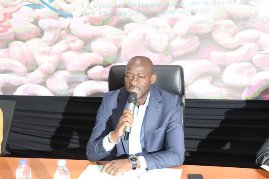 Côte d’Ivoire/Campagne cajou 2024-2025 : la direction du Conseil exhorte les agents à plus d'engagement