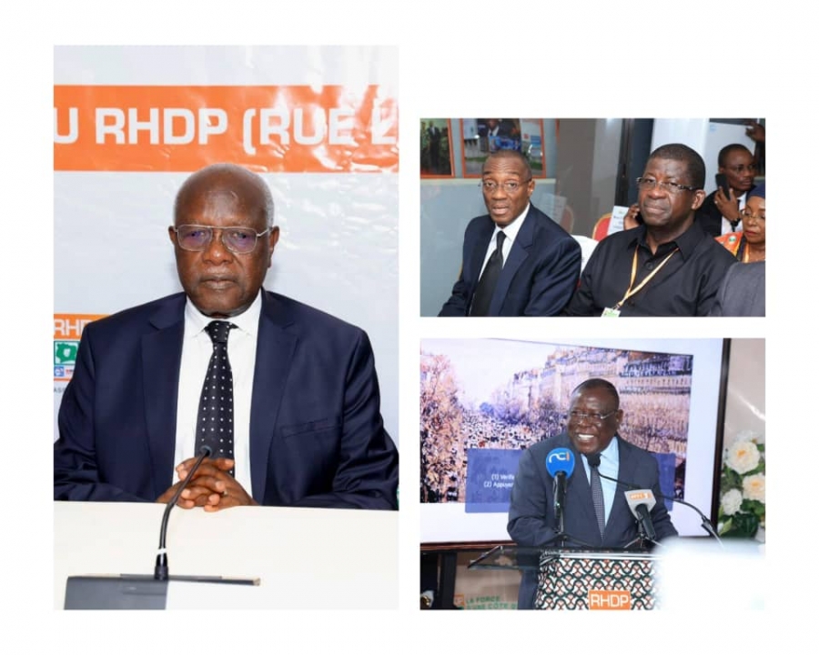 Côte d’Ivoire : le RHDP forme des formateurs régionaux pour une communication politique efficace