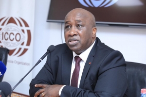 Organisation Internationale du Cacao : La Côte d’Ivoire préside la 104eme  session ordinaire de l’Icco