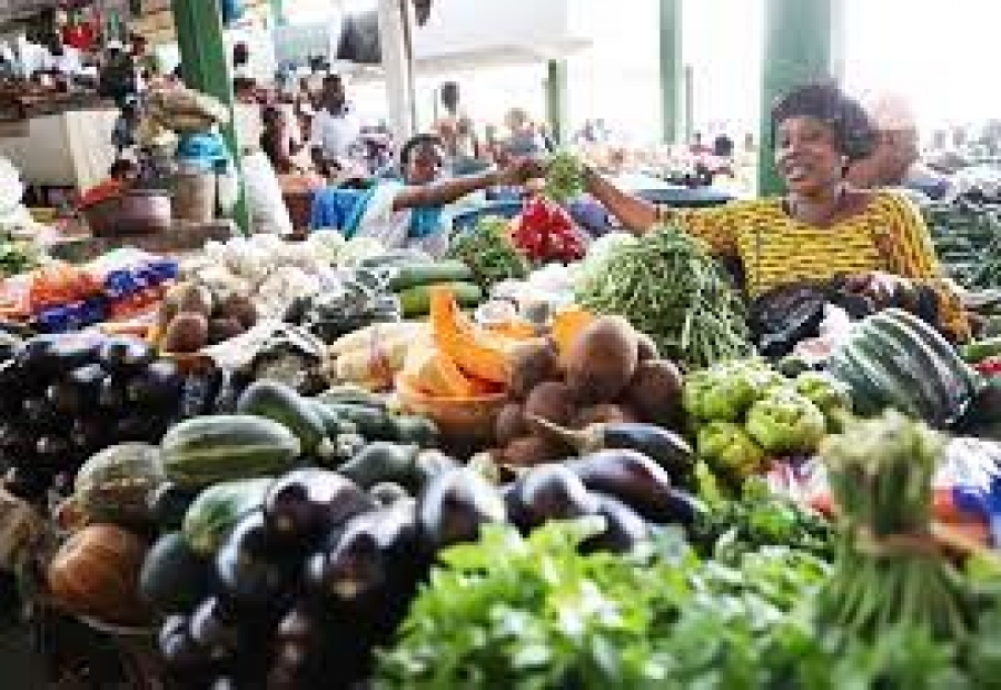 Sécurité Alimentaire : Le Gouvernement Ivoirien engage à exploiter les énormes potentialités du Pays