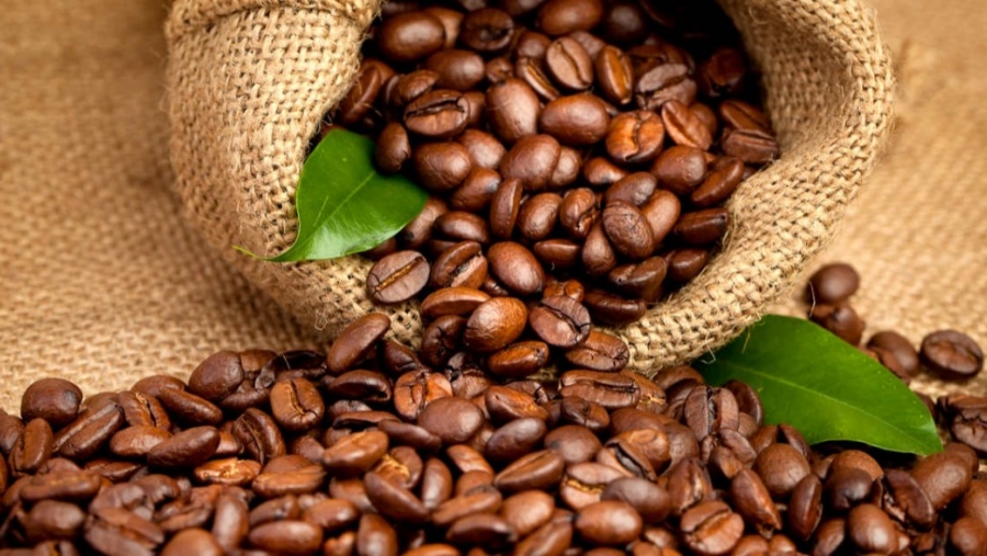 Côte d’Ivoire : vote d’un projet de loi sur le café