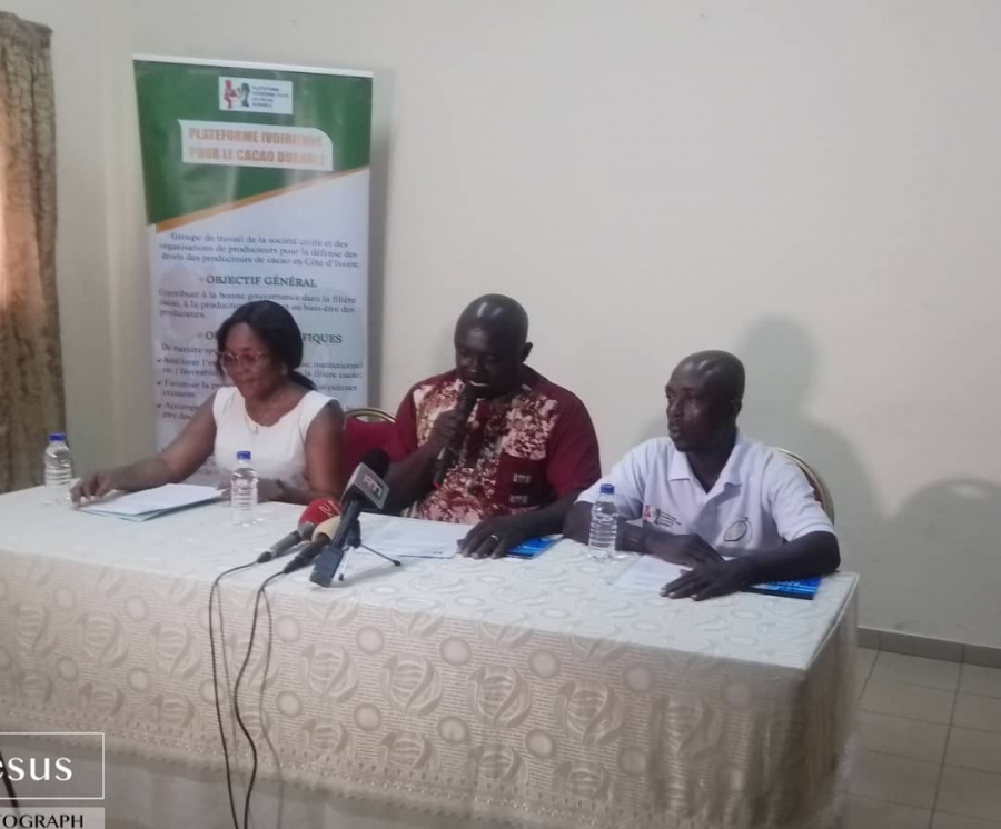 Côte d’Ivoire/Prix du cacao minimum bord champ : la PICD plaide pour une augmentation entre 2 016 FCFA et 2 350 FCFA le kilogramme