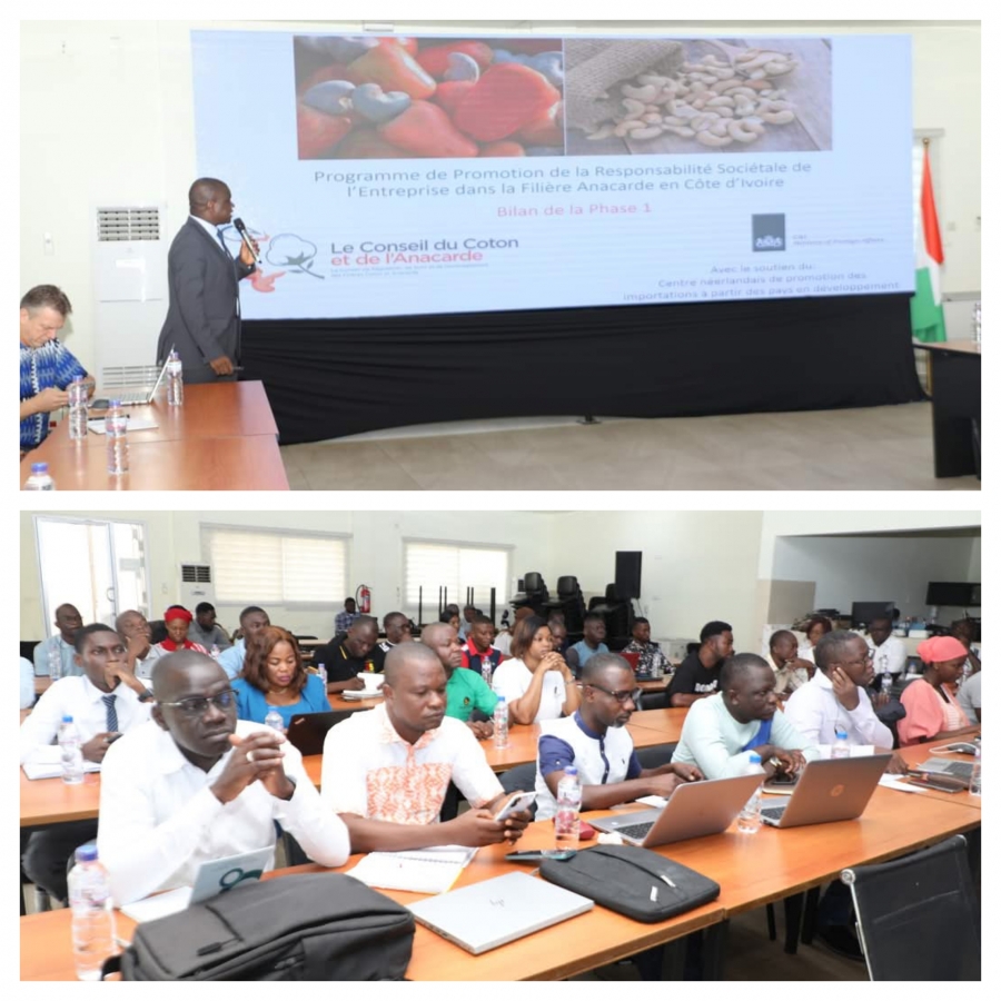 Côte d'Ivoire/Secteur de l'anacarde: les acteurs formés sur la Responsabilité Sociétale d'entreprise