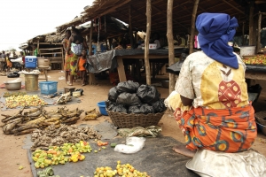 Côte d&#039;Ivoire : les marchés de proximité comme des instruments importants pour la lutte contre la vie chère