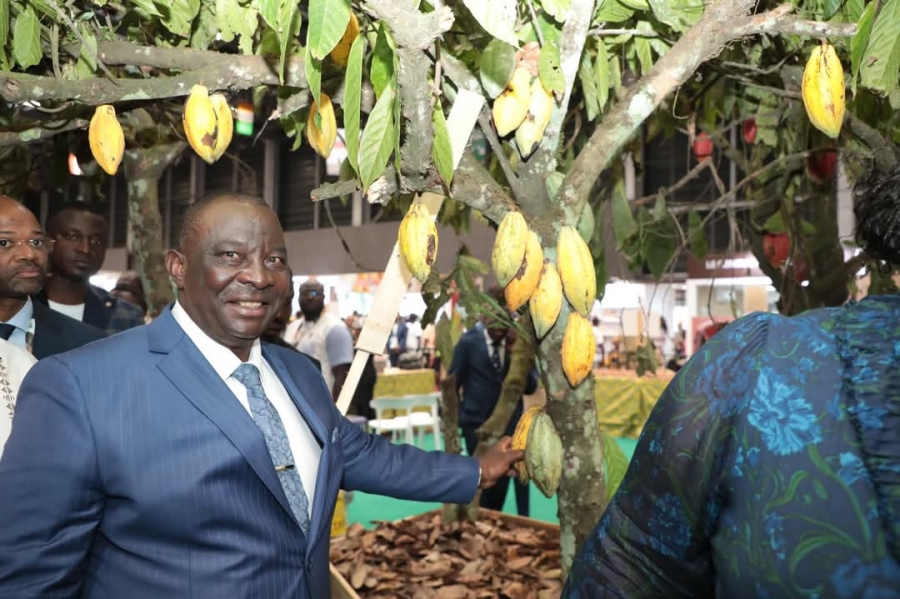 Côte d'Ivoire : une hausse du prix du cacao pour la campagne intermédiaire 2024-2025(2200 FCFA)